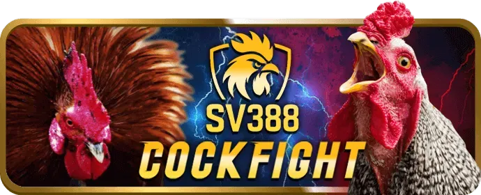 Công nghệ mã hóa vipvin app