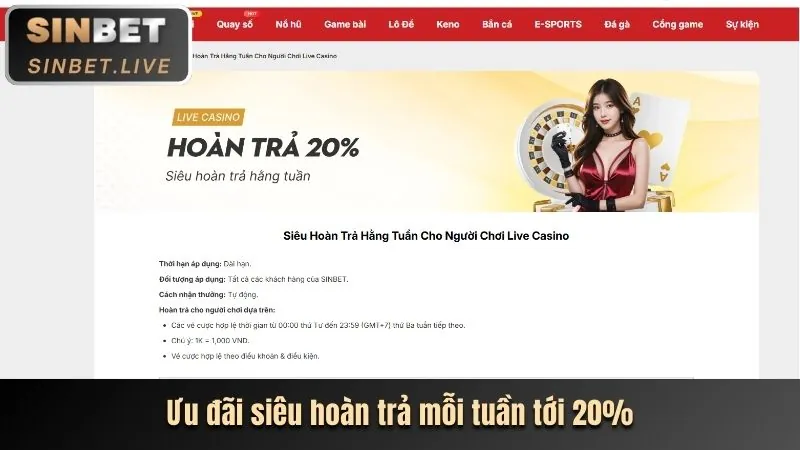 Chương trình VIP vipvin app